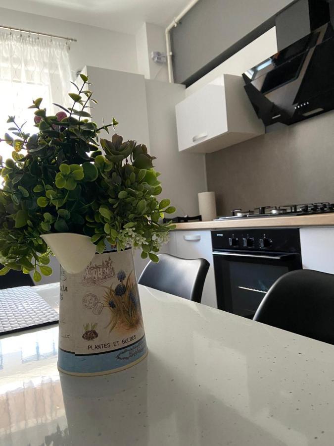 Qualis Apartament Braşov Esterno foto